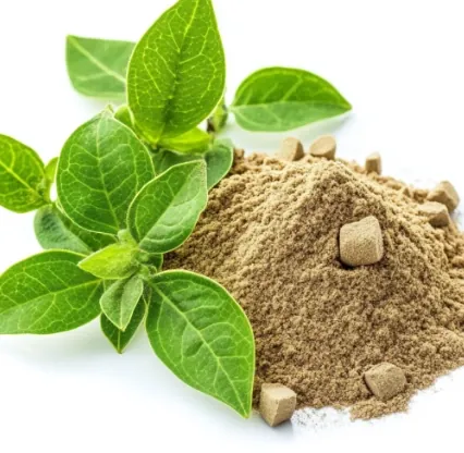 Fresh green leaves beside a pile of herbal powder